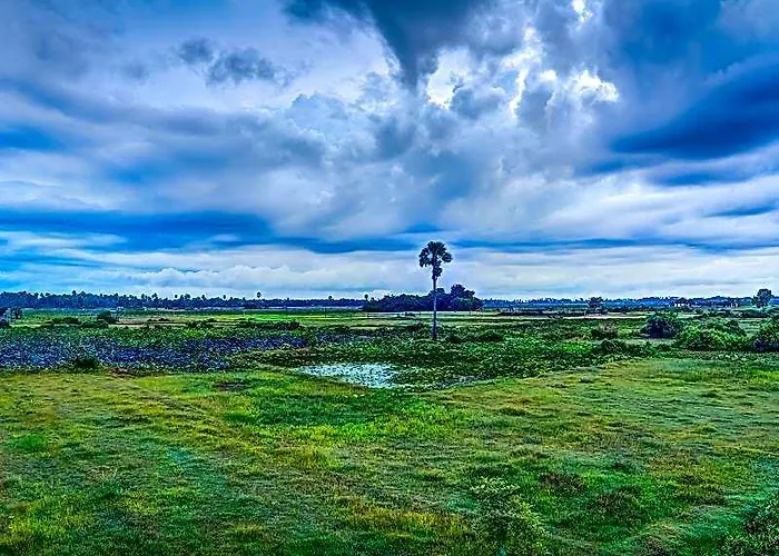 Hotel Ry's Lotus D'angkor Siem Reap