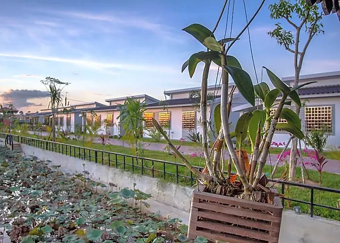Ry's Lotus D'angkor Siem Reap